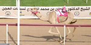 مهرجان حاكم الشارقة للهجن ينطلق 3 نوفمبر - مصدرك الرياضي