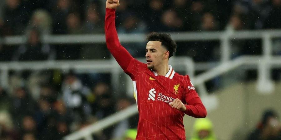 فيديو | أسيست عالمي من محمد صلاح.. جونز يسجل هدف تعادل ليفربول ضد نيوكاسل - مصدرك الرياضي