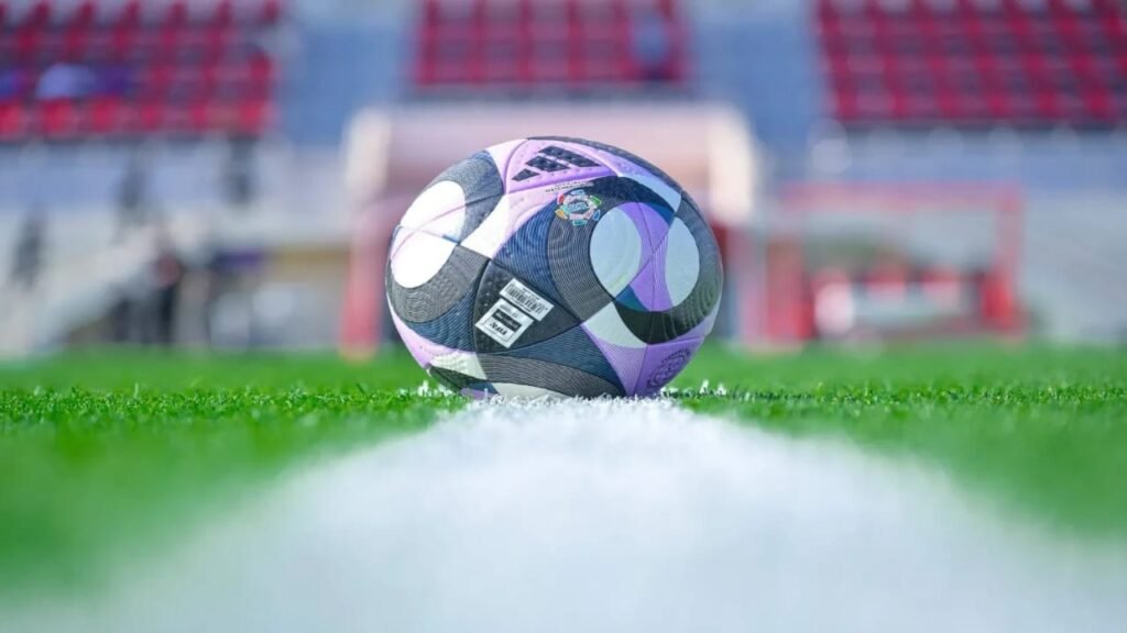 البدء بتطبيق نظام التأمينات الاجتماعية على اللاعبين والمدربين السعوديين من 1 يوليو المقبل