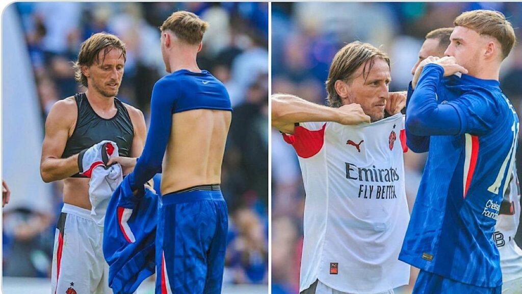 صراع بين لاعبي تشيلسي على قميص مودريتش.. تغطية