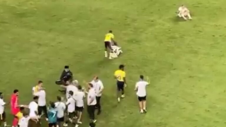 الجماهير تقتحم الملعب لالتقاط صور سيلفي مع رونالدو ..تغطية