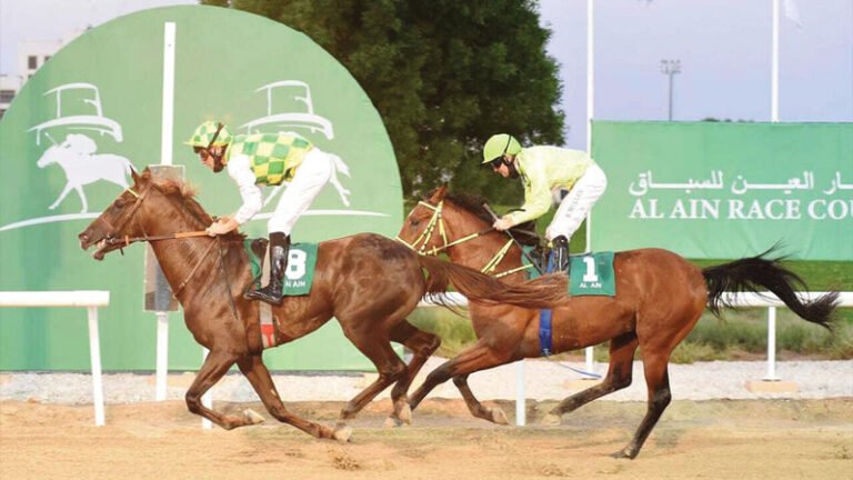 600 ألف درهم جوائز سباق الخيول العربية الأصيلة في العين