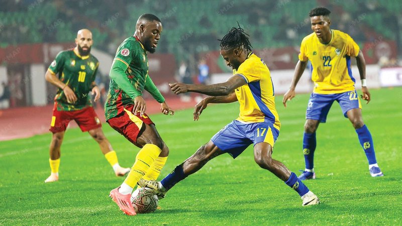 صراع مثير بين «بافانا بافانا» و«الأسود غير المروضة»